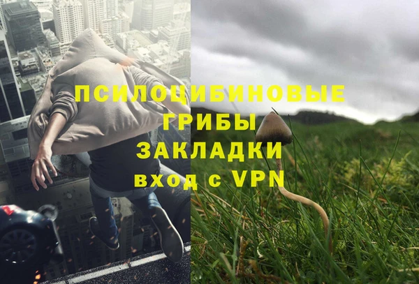 соль ск Козловка