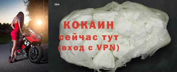 соль ск Козловка