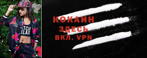 соль ск Козловка