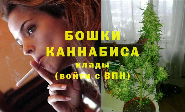 соль ск Козловка