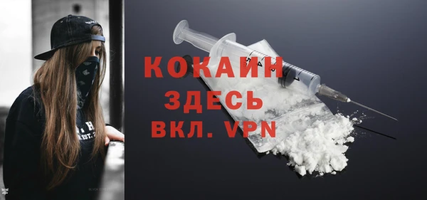 соль ск Козловка
