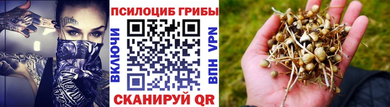 Купить где  Людиново  Галлюциногенные грибы мухоморы 